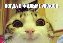 Прикольные картинки ))) # 16.02.2018