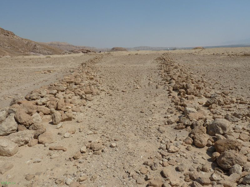 Загадочные «Пустынные змеи» на территории Израиля, Иордании и Египта