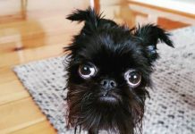 Прикольные картинки ))) # 21.02.2018