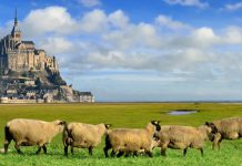 Поездка в замок Мон-Сен-Мише́ль во Франции: ноябрь 2017