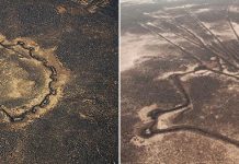 Загадочные «Пустынные змеи» на территории Израиля, Иордании и Египта