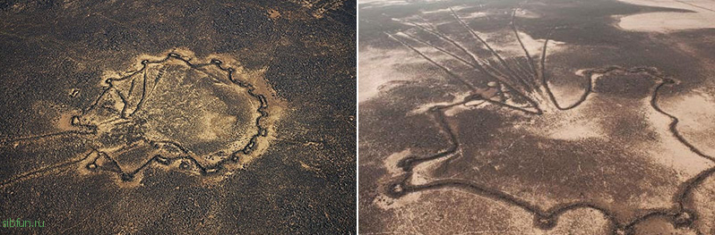 Загадочные «Пустынные змеи» на территории Израиля, Иордании и Египта