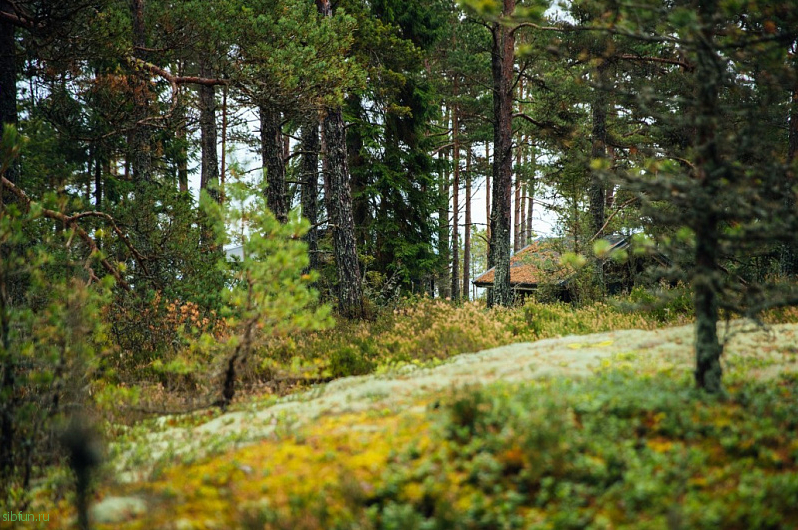В Финляндии откроется остров-курорт только для женщин