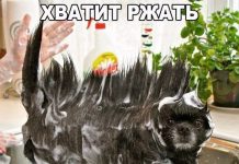 Прикольные картинки ))) # 14.03.2018