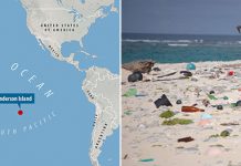 Хендерсон – один из самых загрязненных необитаемых островов в мире