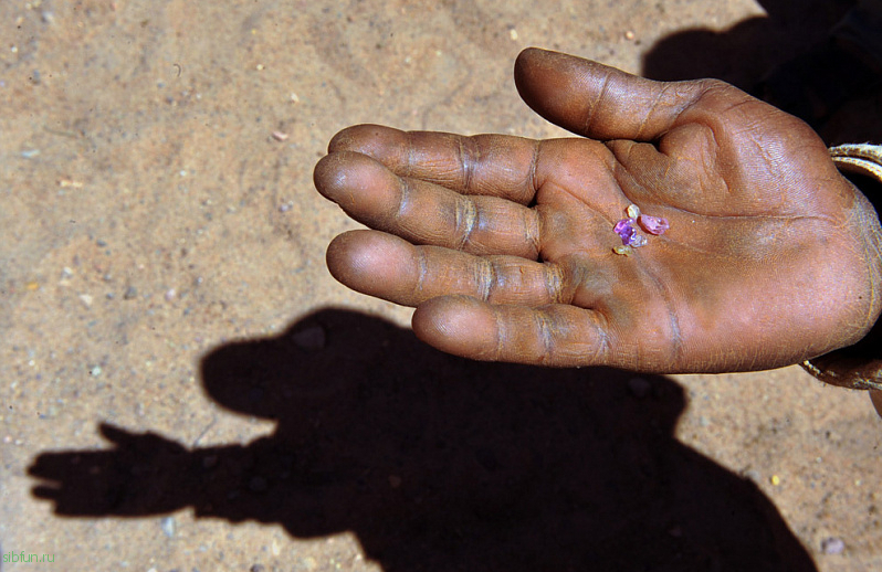 Сапфировые рудники Илакаки в Мадагаскаре