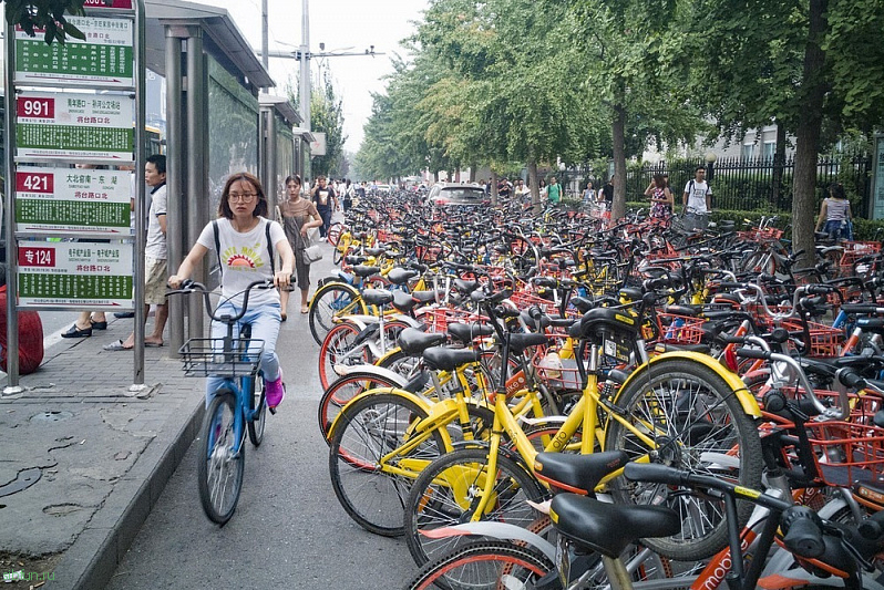 Огромные кладбища велосипедов в Китае