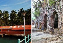 Остров Росс – руины бывшей исправительной колонии, поглощенные корнями деревьев