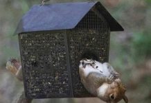 Прикольные картинки ))) # 21.06.2018