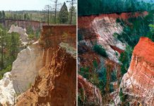 Каньон Провиденс в Америке – рукотворное чудо природы