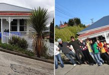 Baldwin Street в новой Зеландии – самая крутая улица в мире