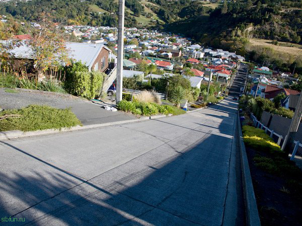 Baldwin Street в новой Зеландии – самая крутая улица в мире
