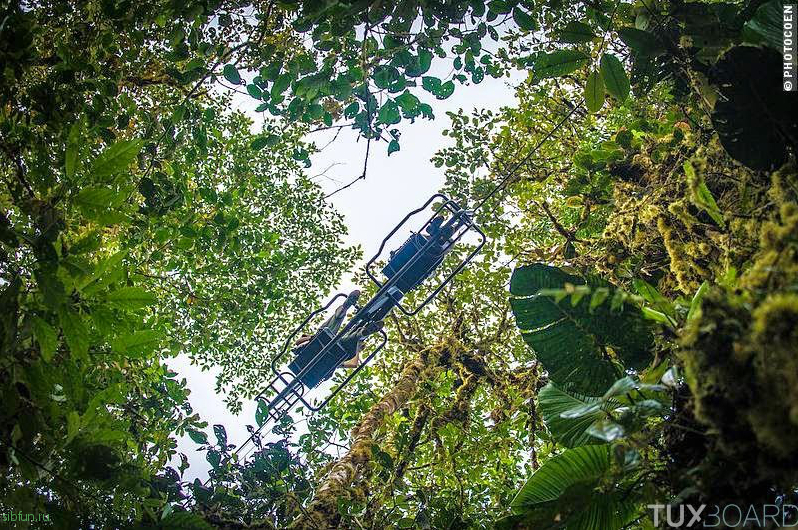 Mashpi Lodge – отель в диких лесах Эквадора, который предлагает прокатиться над лесом