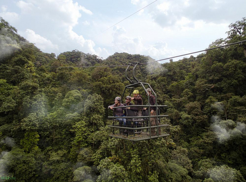 Mashpi Lodge – отель в диких лесах Эквадора, который предлагает прокатиться над лесом