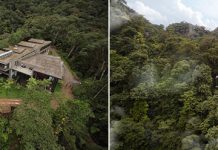Mashpi Lodge – отель в диких лесах Эквадора, который предлагает прокатиться над лесом