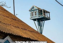 Прикольные картинки ))) # 24.08.2018