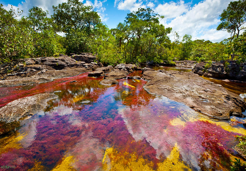 Каньо-Кристалес — одна из самых красивых рек на Земле