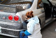 Жена разрисовала автомобиль