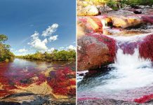 Каньо-Кристалес — одна из самых красивых рек на Земле