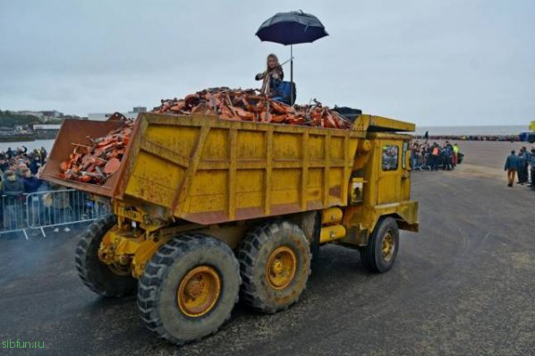 Прикольные картинки )))