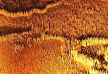 Геологическая загадка «100 000 солдат» во французских пещерах Trabuc