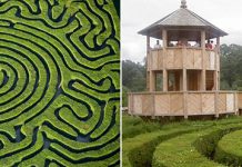 Longleat Hedge Maze – самый длинный «живой» лабиринт в мире