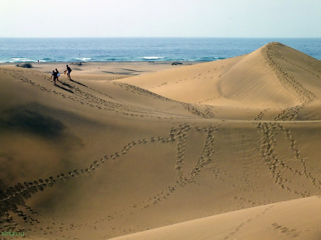 Дюны Маспаломас – движущиеся горы песка на Канарских островах