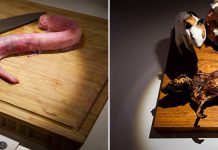 Необычный музей отвратительной еды в Швеции