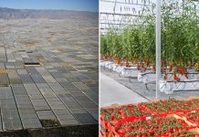 Теплицы в Альмерии – самая большая концентрация парников в мире