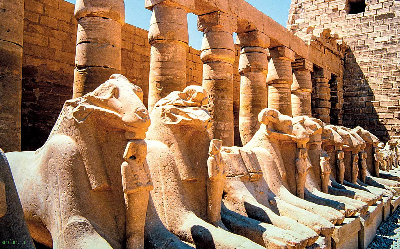 Туры в лучшие отели Египта от Farvater.travel