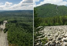 «Каменная река» в российском Национальном парке Таганай