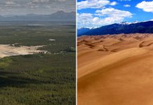 Великие песчаные дюны Кобук в Национальном парке Kobuk Valley на Аляске