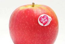 Скрытый шифр на фруктах