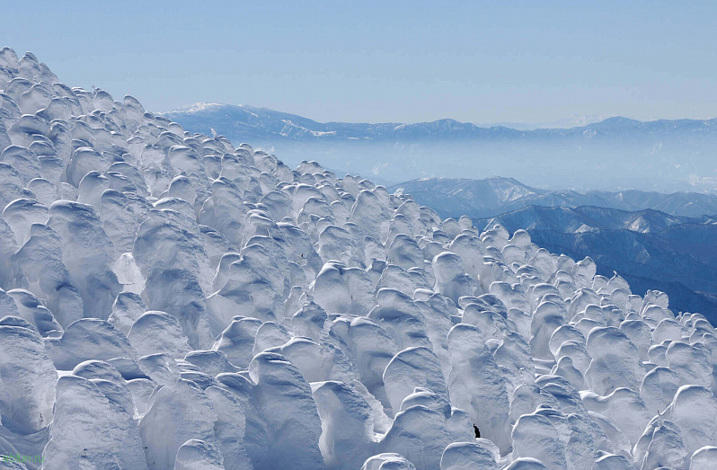 Снежные монстры горы Зао в центральной части Японии