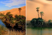 Солёные озёра Убари – удивительные оазисы посреди огромной Сахары