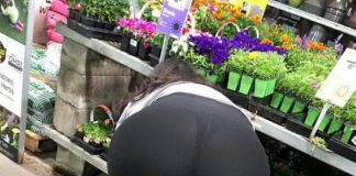 Прикольная эротика ;) # 19.02.2019