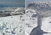 Снежные монстры горы Зао в центральной части Японии
