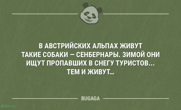 Анекдоты-коротыши  - 27.02.2019