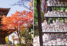 Готокудзи – буддистский храм, где появились статуэтки Манэки Неко