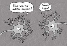 Буквальные приколы