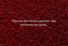 Факты для любознательных