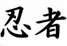 Настоящие факты о ниндзя