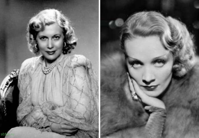 Сравнительные фотографии отечественных и зарубежных актрис