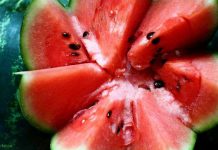 Способ консервации арбуза