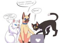 Смешные комиксы