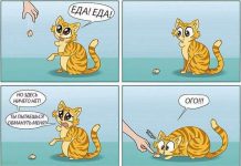 Смешные комиксы