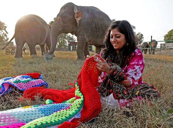 В Индии спасают слонов от холода