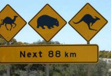 Самые необычные дорожные знаки мира