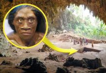 Фантастические существа