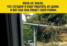 Мужчины и женщины — с разных планет